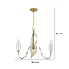 3 Light Candelabra Chandelier with Glass Shades, 25 Inch Antique Brass