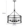 6 Light Chandelier, Caged Round Oval, Glass Shades, Black Metal 24 Inch