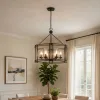 6 Light Chandelier, Caged Round Oval, Glass Shades, Black Metal 24 Inch